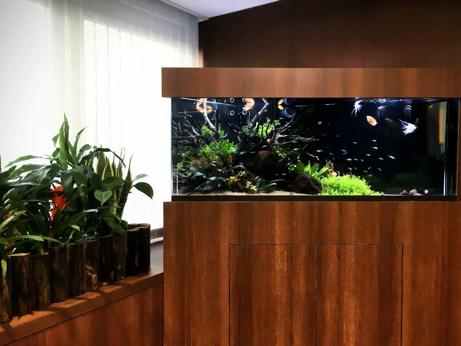 観葉植物と調和する大型アクアリウム水槽の設置事例