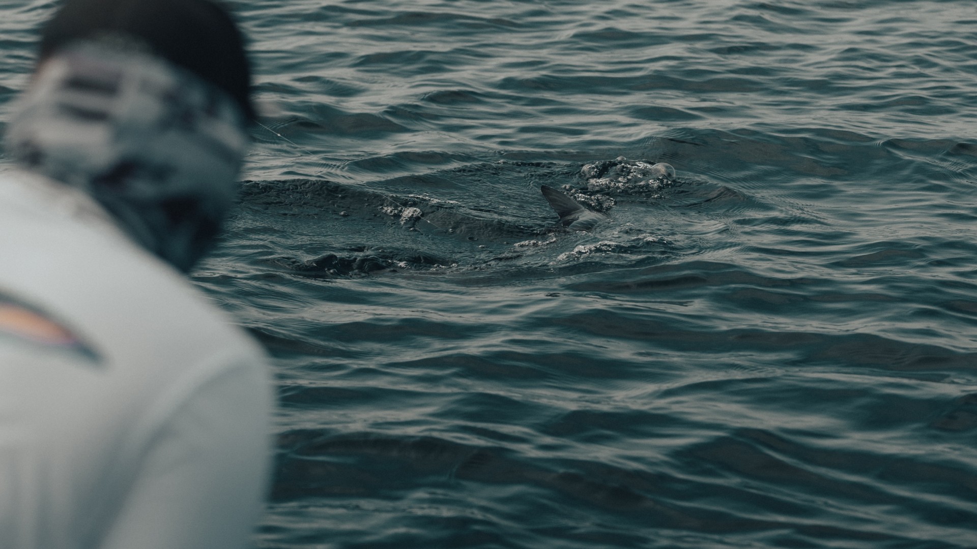 Tarpon swimming away during catch and release with a blurred image of guide Marlon Leslie in the foreground