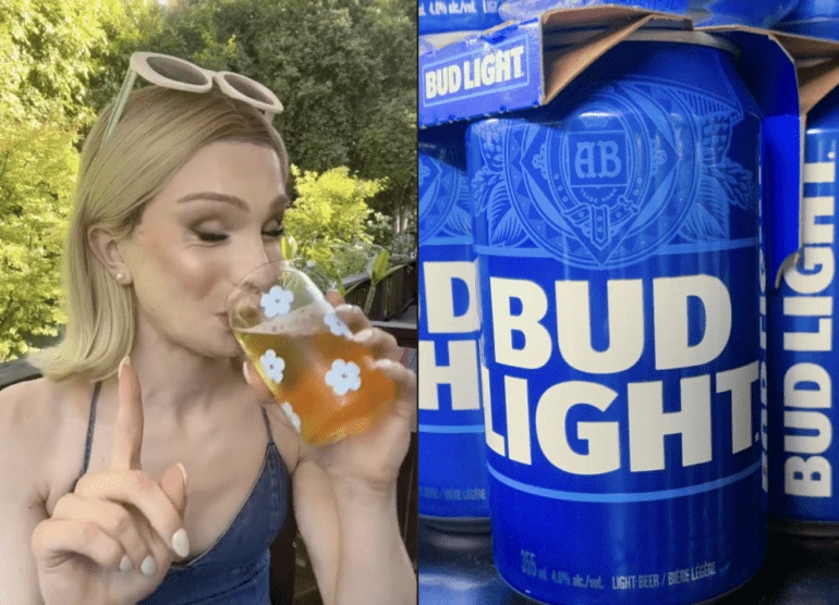 An image of Freelio's project ui