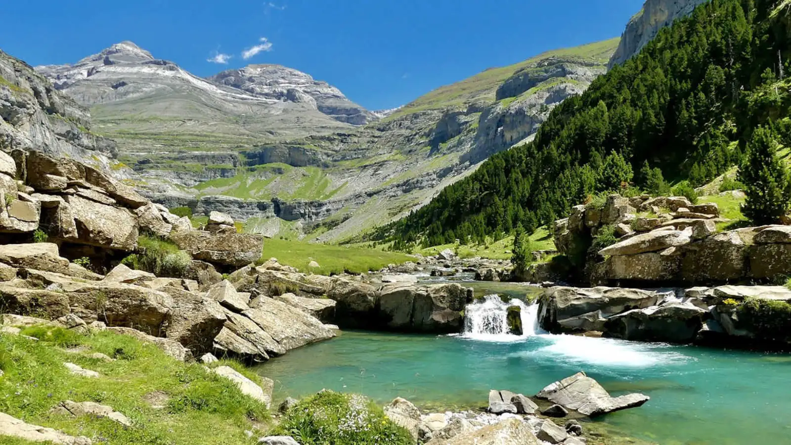 Pyrenees Mountain&nbsp;