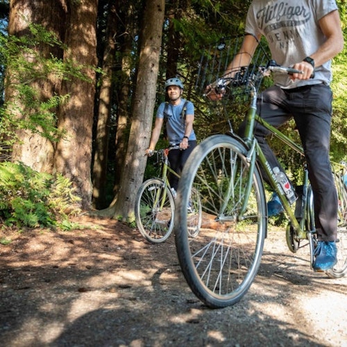 两人在森林小径上骑自行车,周围是高大的树木和绿意盎然的景色。阳光透过树叶斑驳洒下,照亮了整个场景。