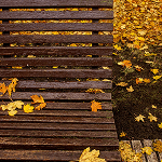 Atsiliepimas apie paslaugas