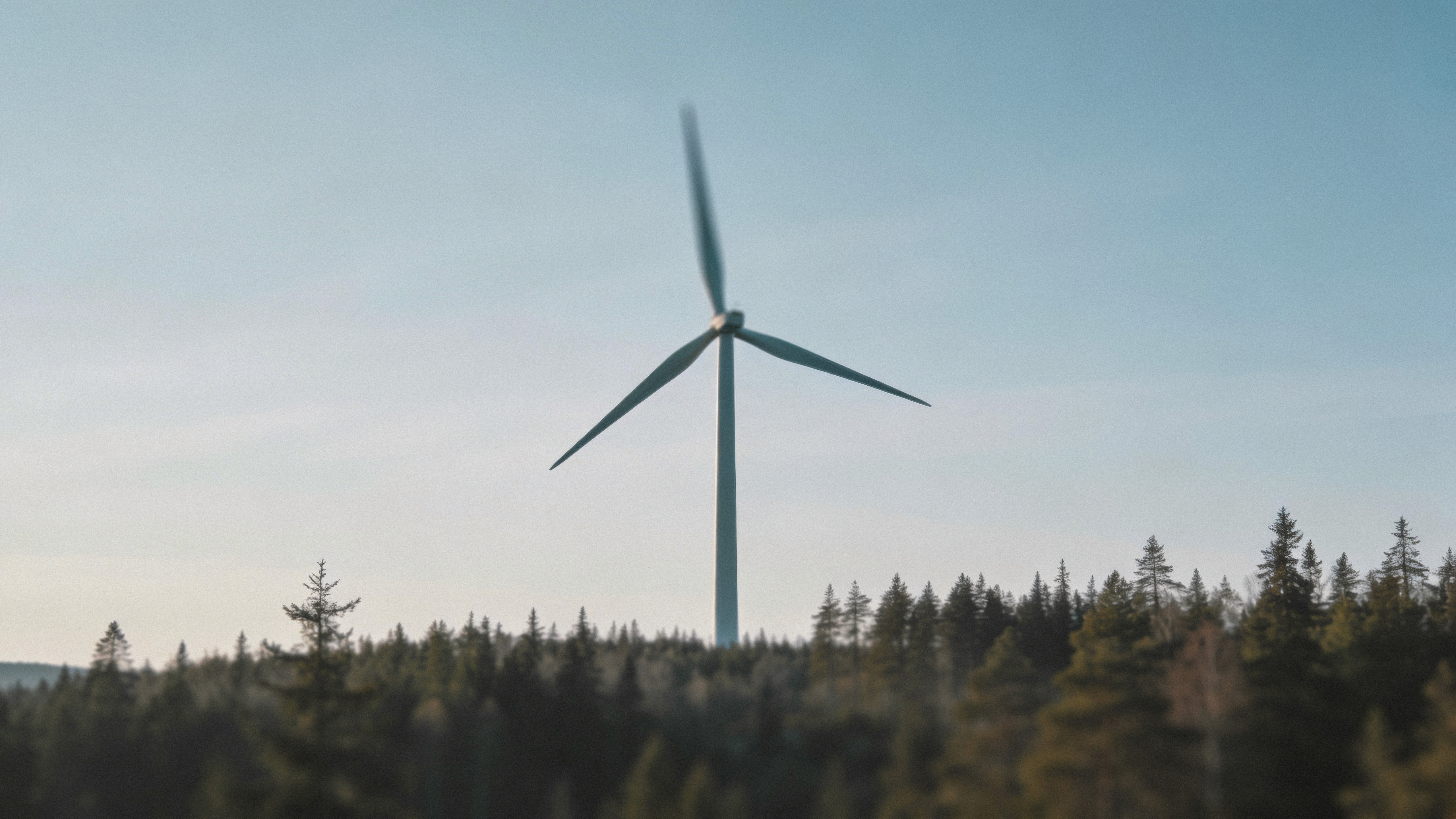 Landskapsfoto mev vindturbin i skogsområde