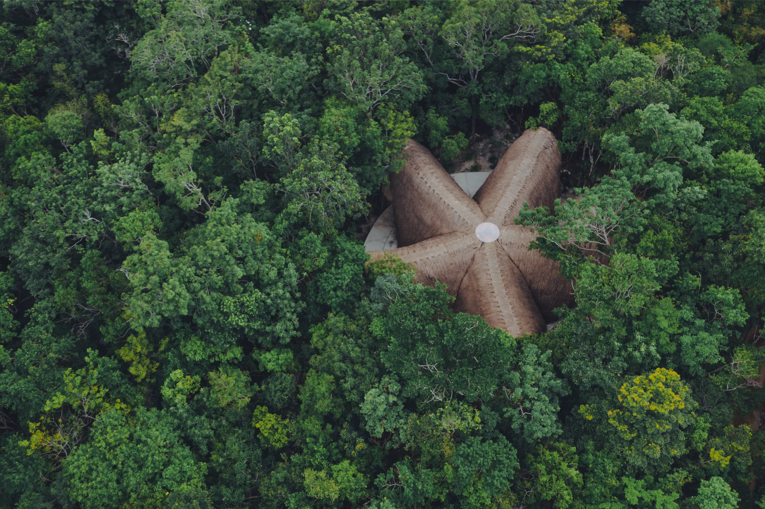 Aerial perspective of Luum Temple, revealing the five-pointed star geometry of the bamboo structure nestled deep within the lush Mayan jungle of Tulum.