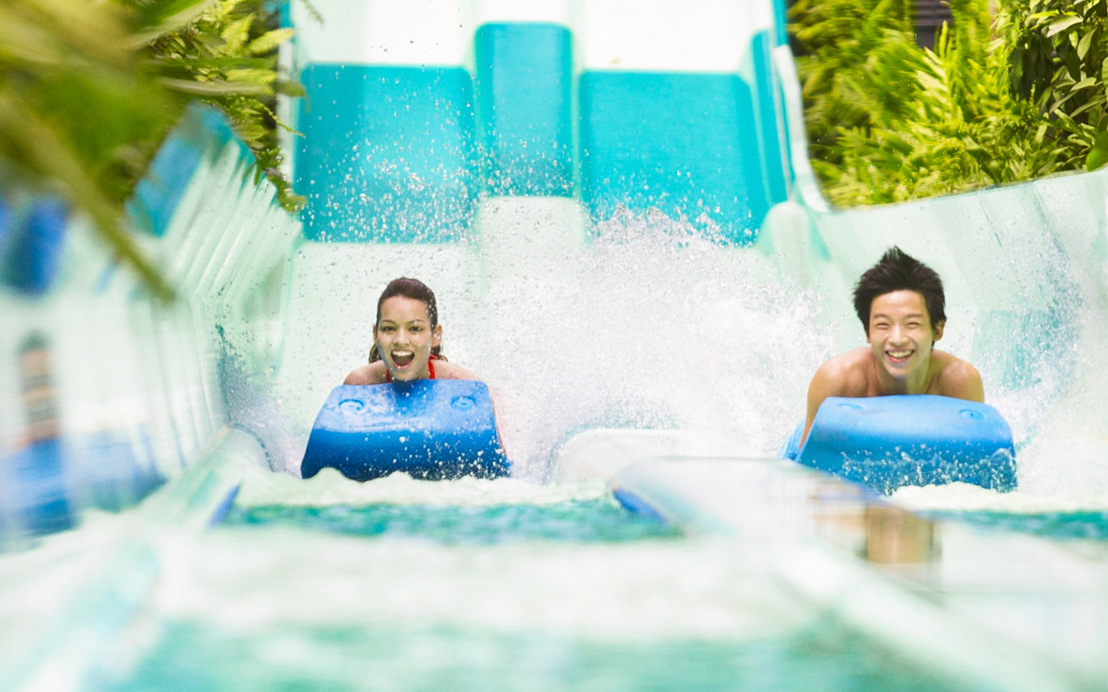Riders enjoying a water slide at Adventure Cove Waterpark™‎.