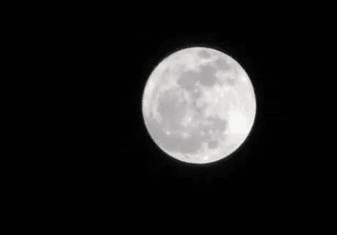 Łysy.