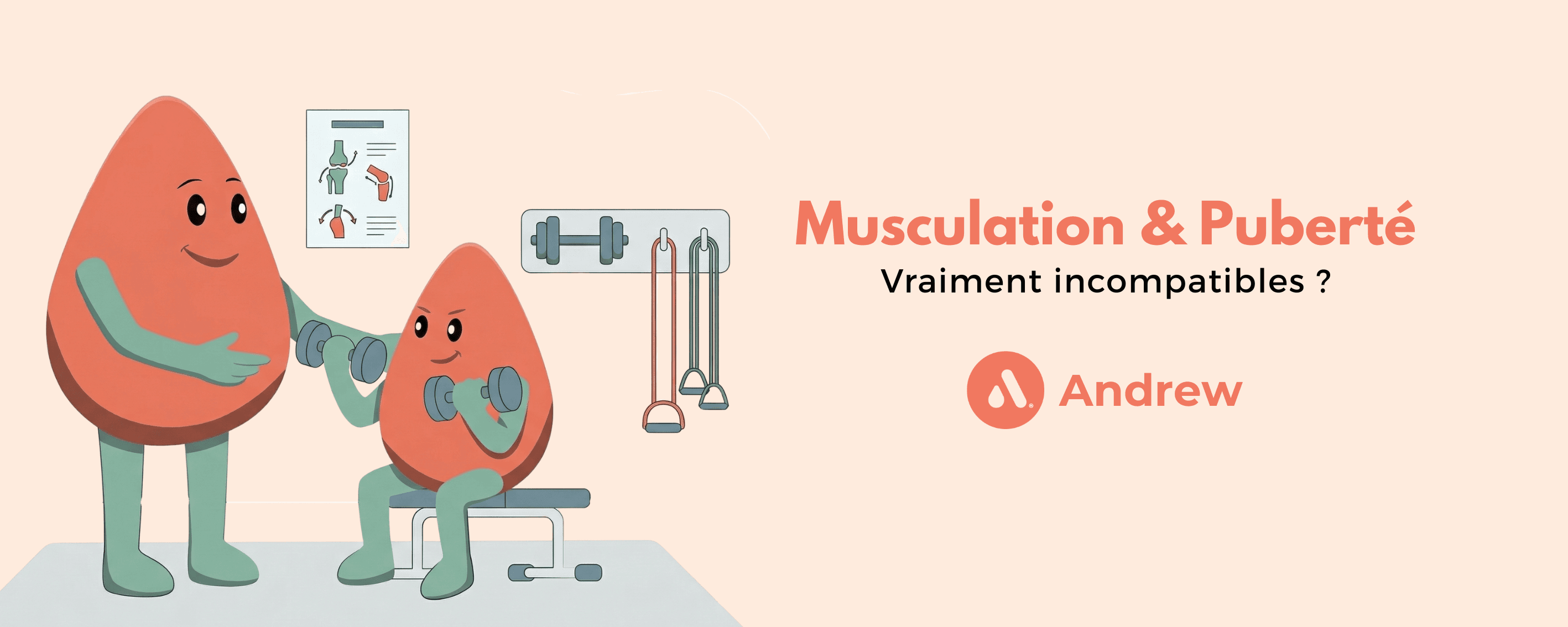 bannière musculation et puberté