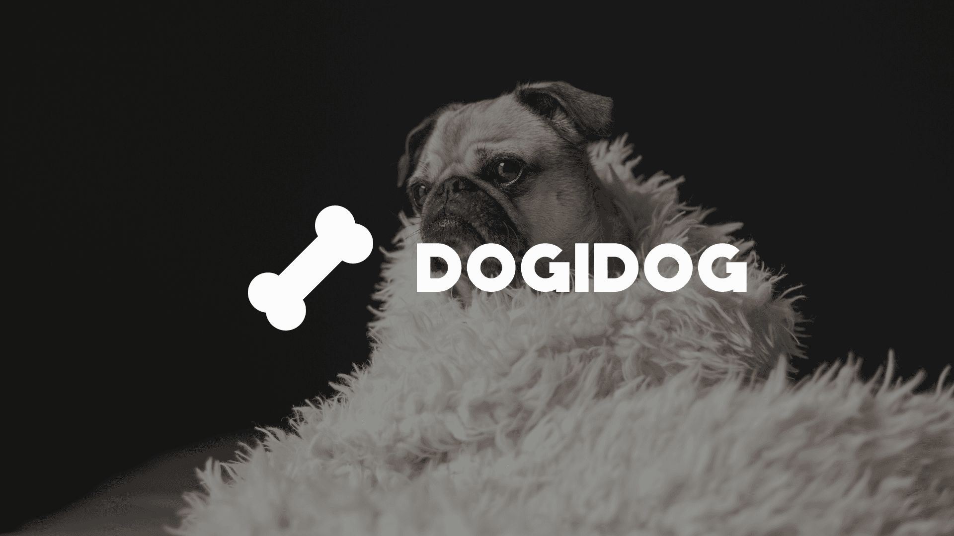 Hero banner for the DogiDog tap‑to‑earn Telegram game on Solana with bright gamified visuals.