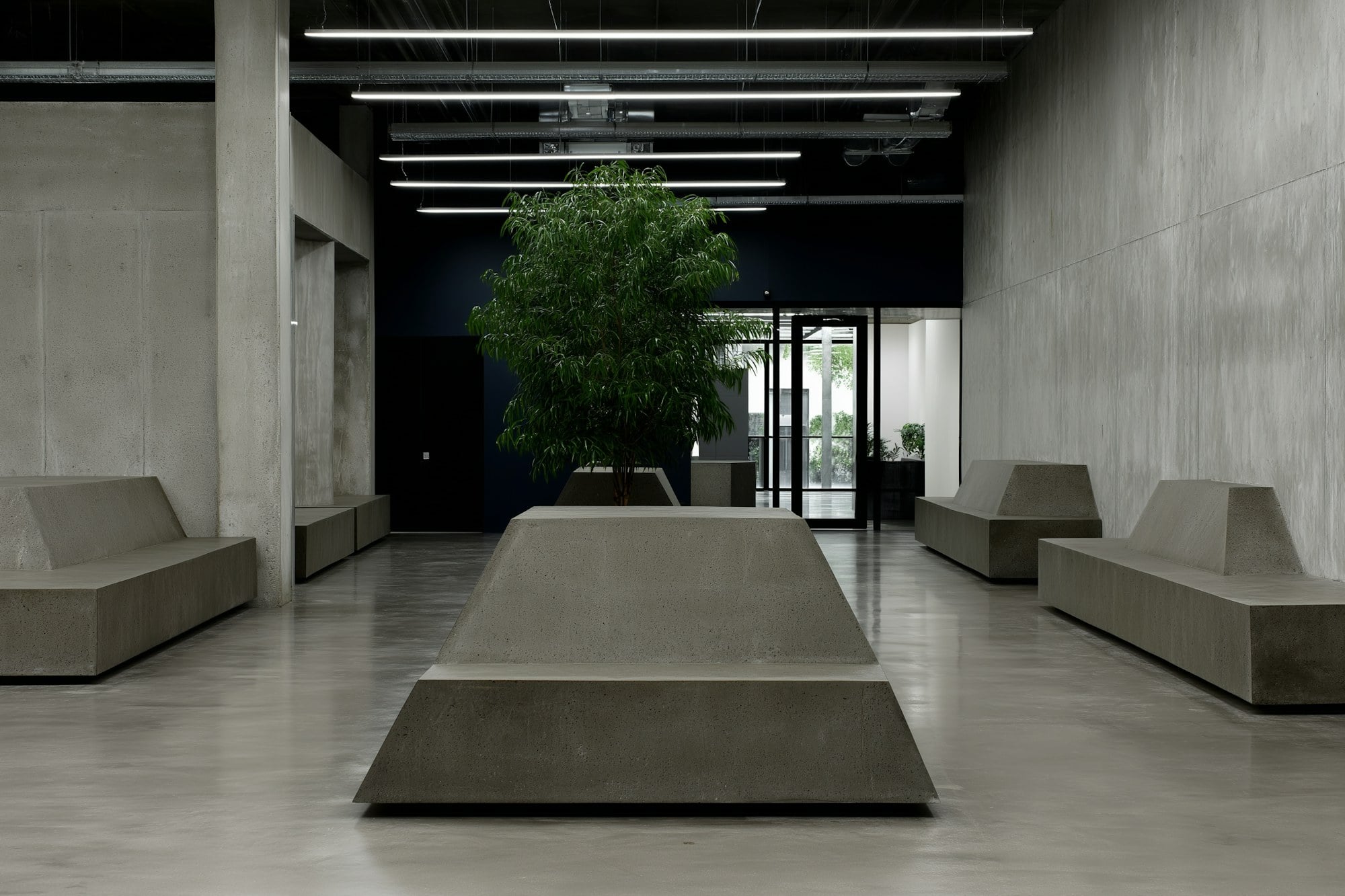 Terra Gallery, Porto: a concrete lobby with pale benches and one tree under a run of linear lights.