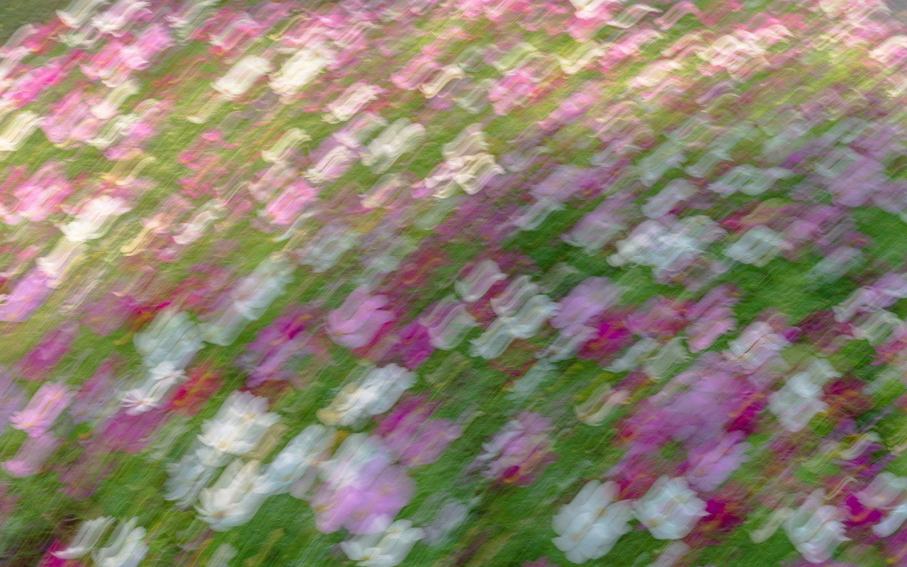 Details Image