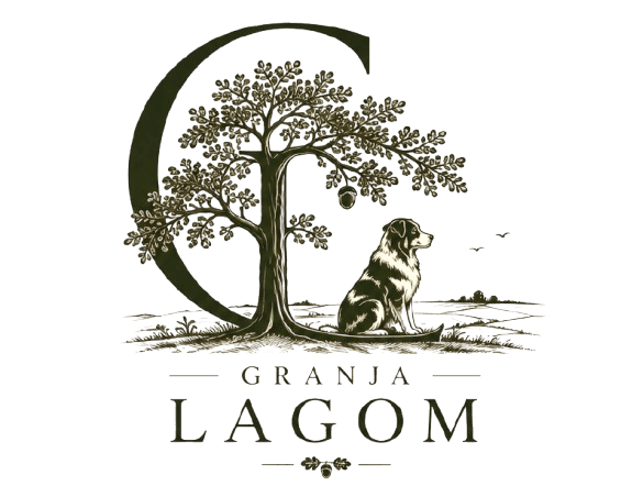 Granja Lagom, un lugar dedicado al cuidado responsable de pastores australianos, cabras enanas, conejos Mini Lop, y gallinas sedosas y pekín
