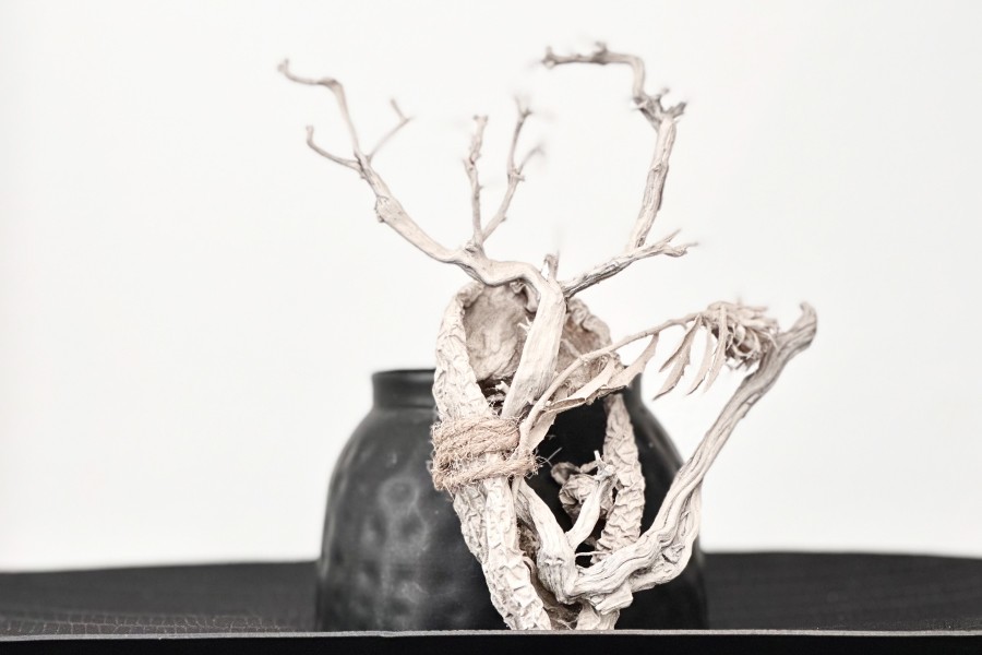 Minimal dried floral arrangement in soft neutral shades