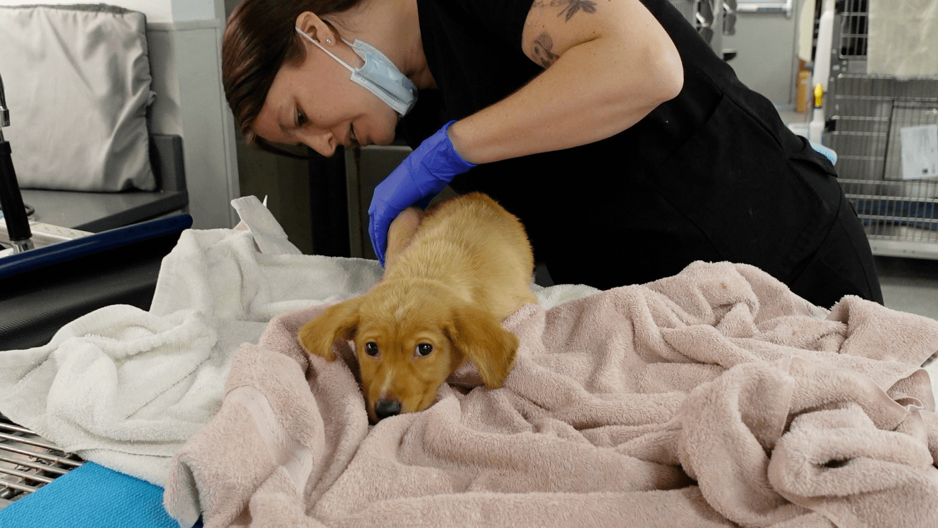 Introducing Manta Phone Calls