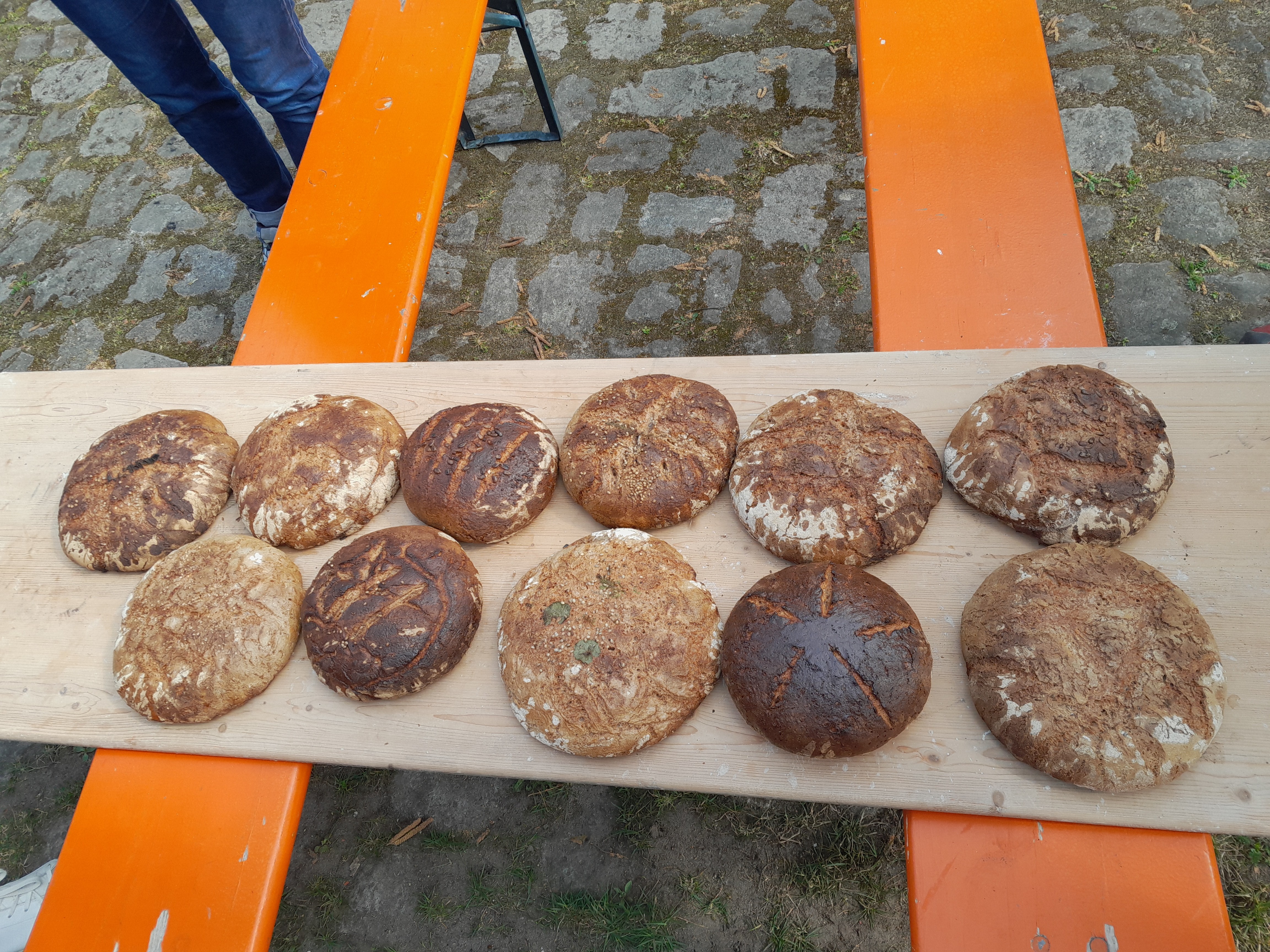 Viele Brote