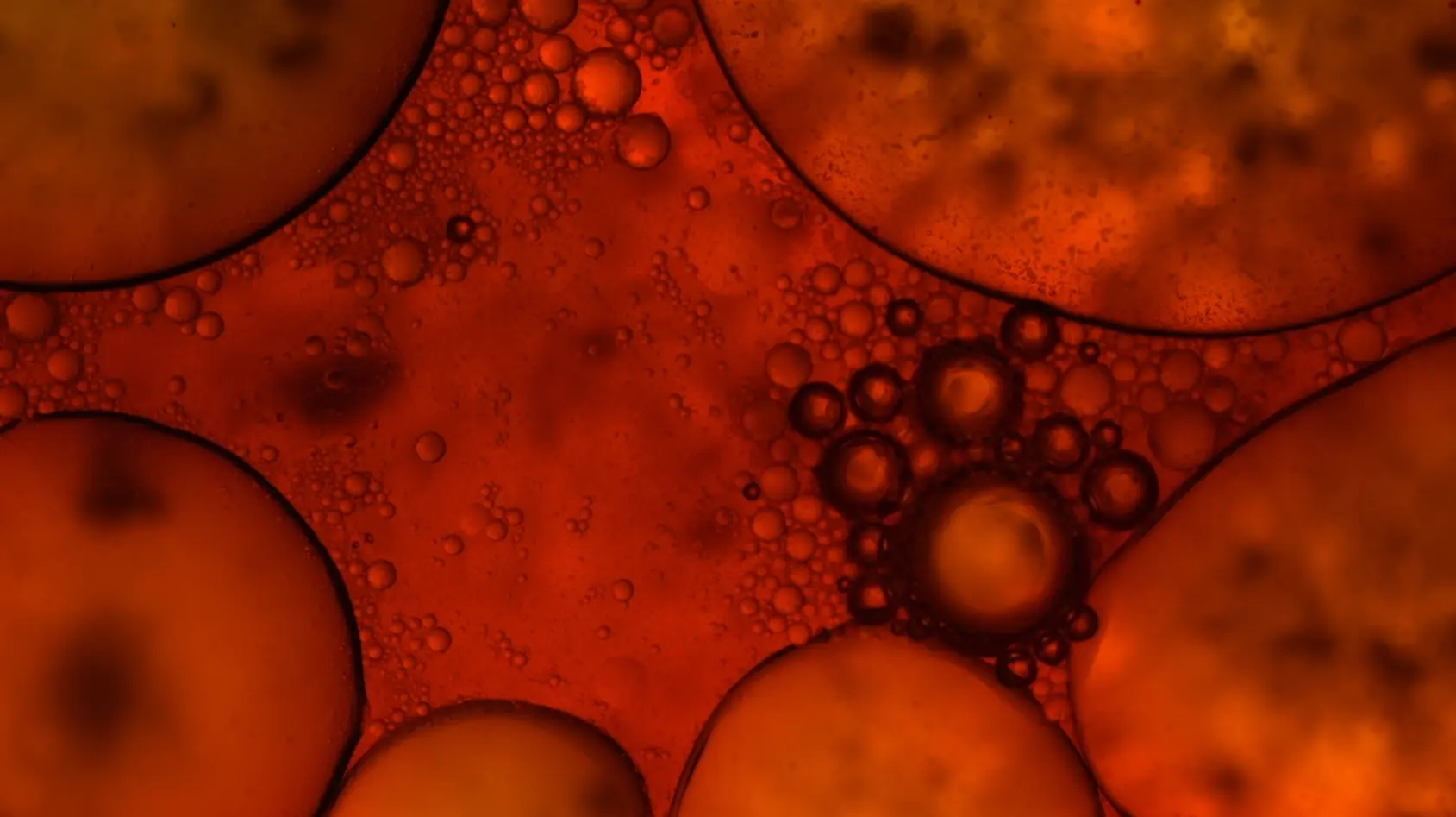 enzymes mixing in skincare