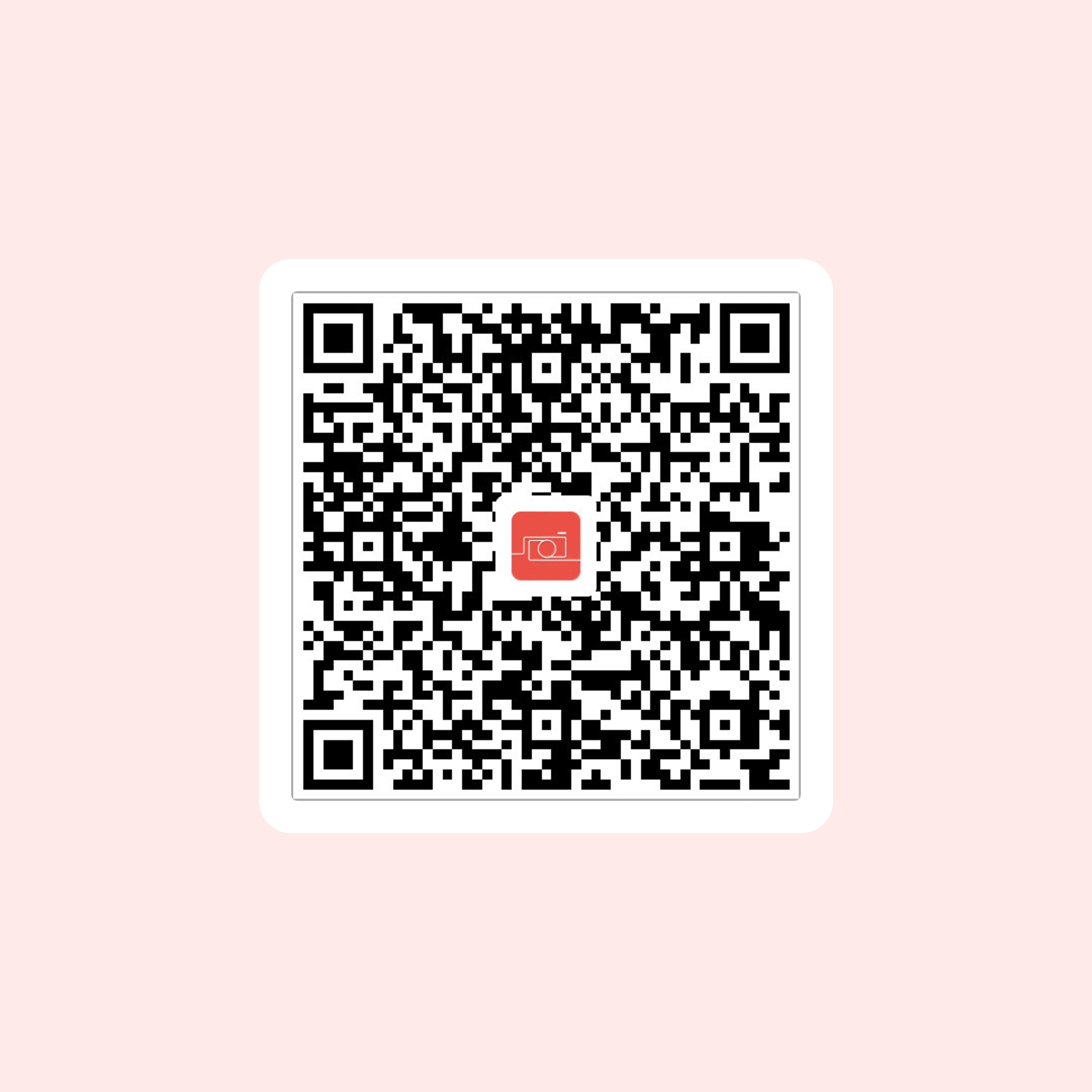 Picaggo Demo QR Code