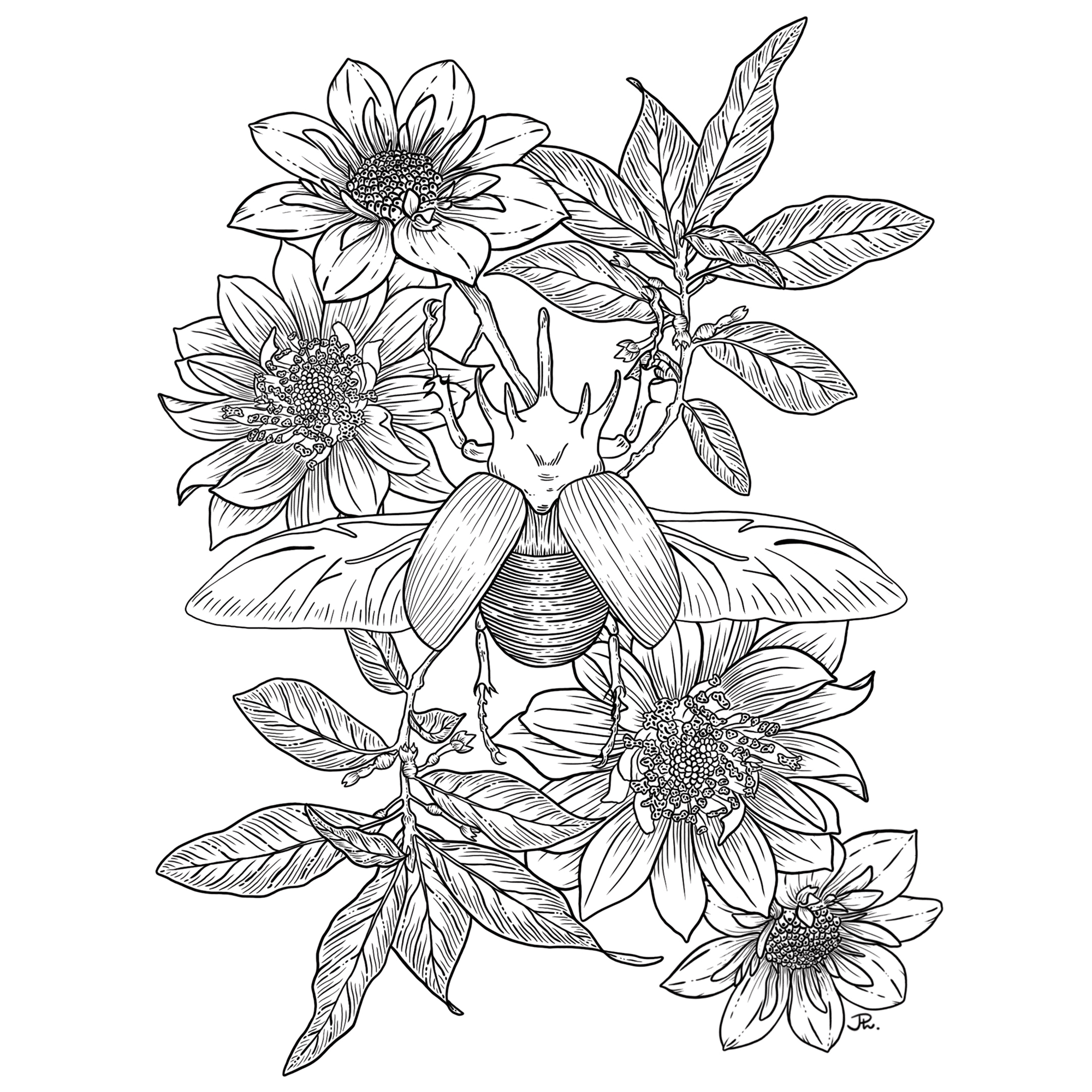 The image featured at the top of the about us page #2