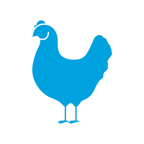 Poultry Icon