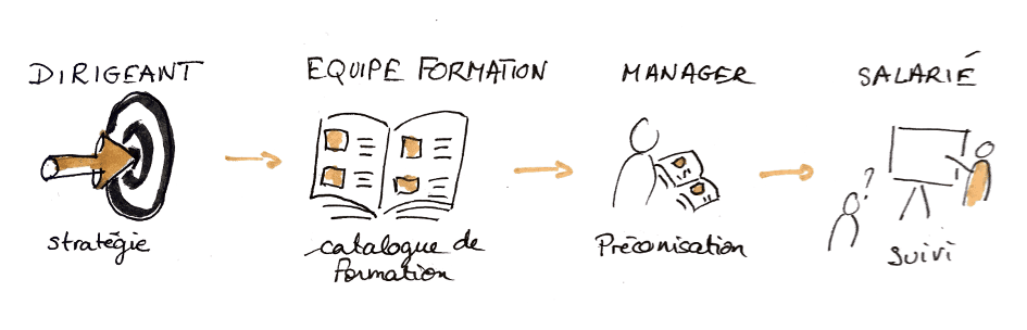 Schéma dessiné d'une chaîne descendante : le dirigeant fixe la stratégie, l'équipe formation produit un catalogue, le manager préconise, le salarié suit