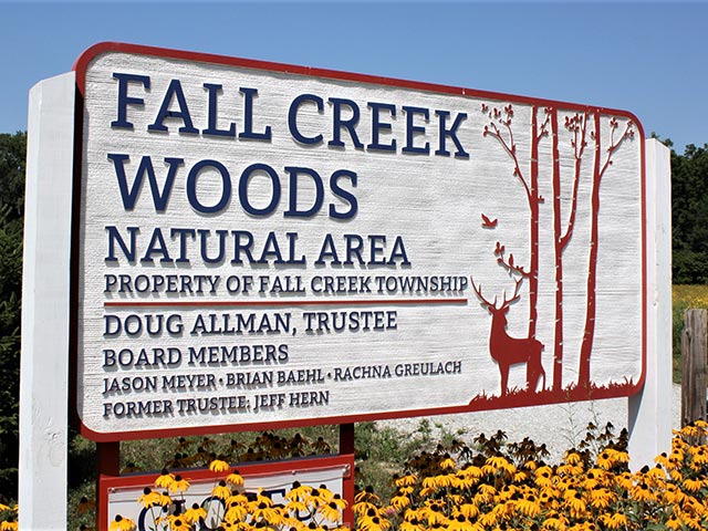 Fall creek woods area photo