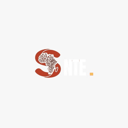 SNTE.africa