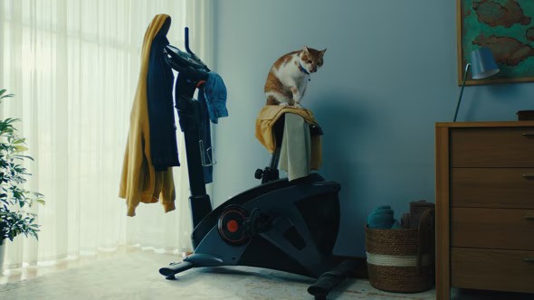 ProCredit Bank –– Dust