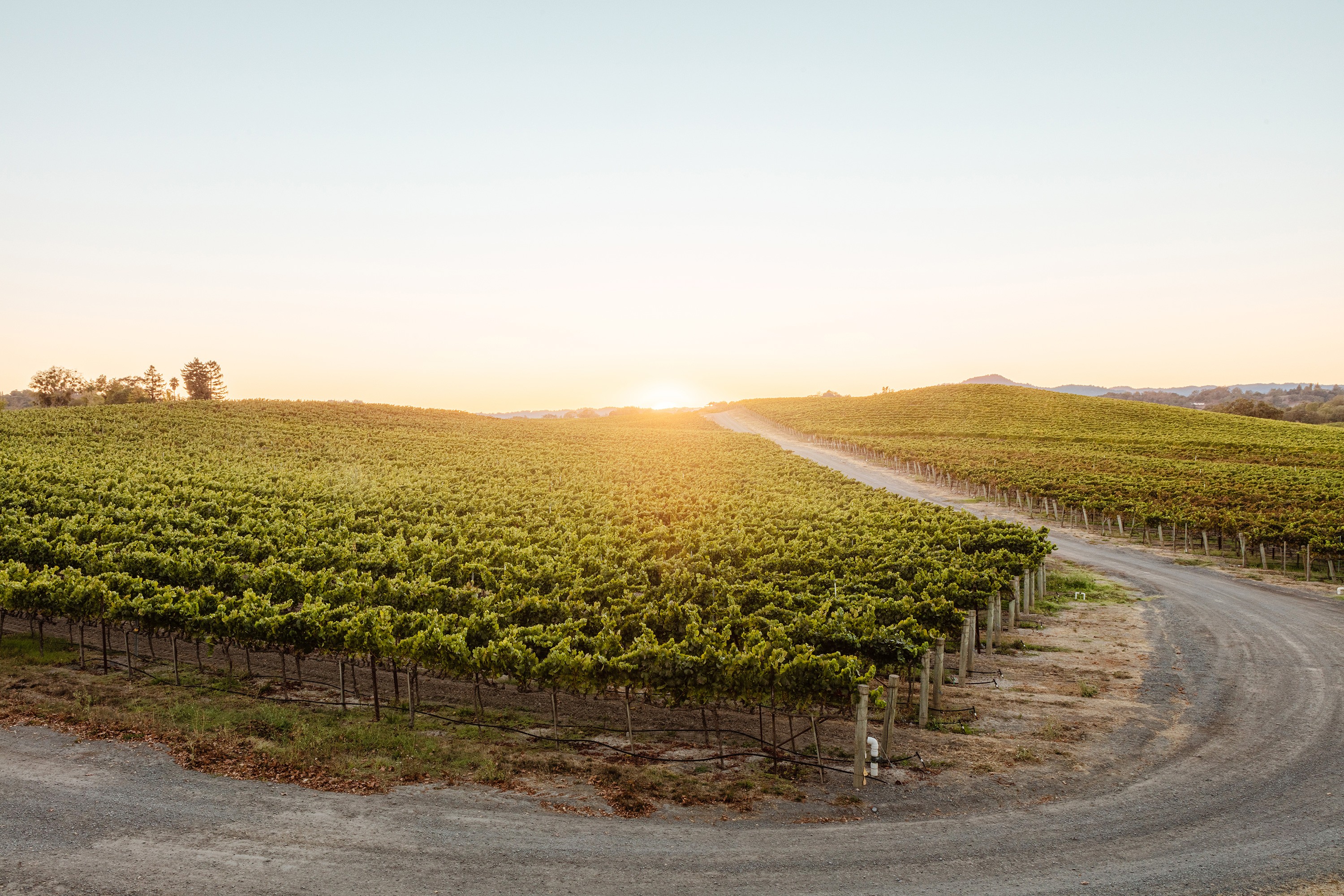 Sonoma-Cutrer Trade Training