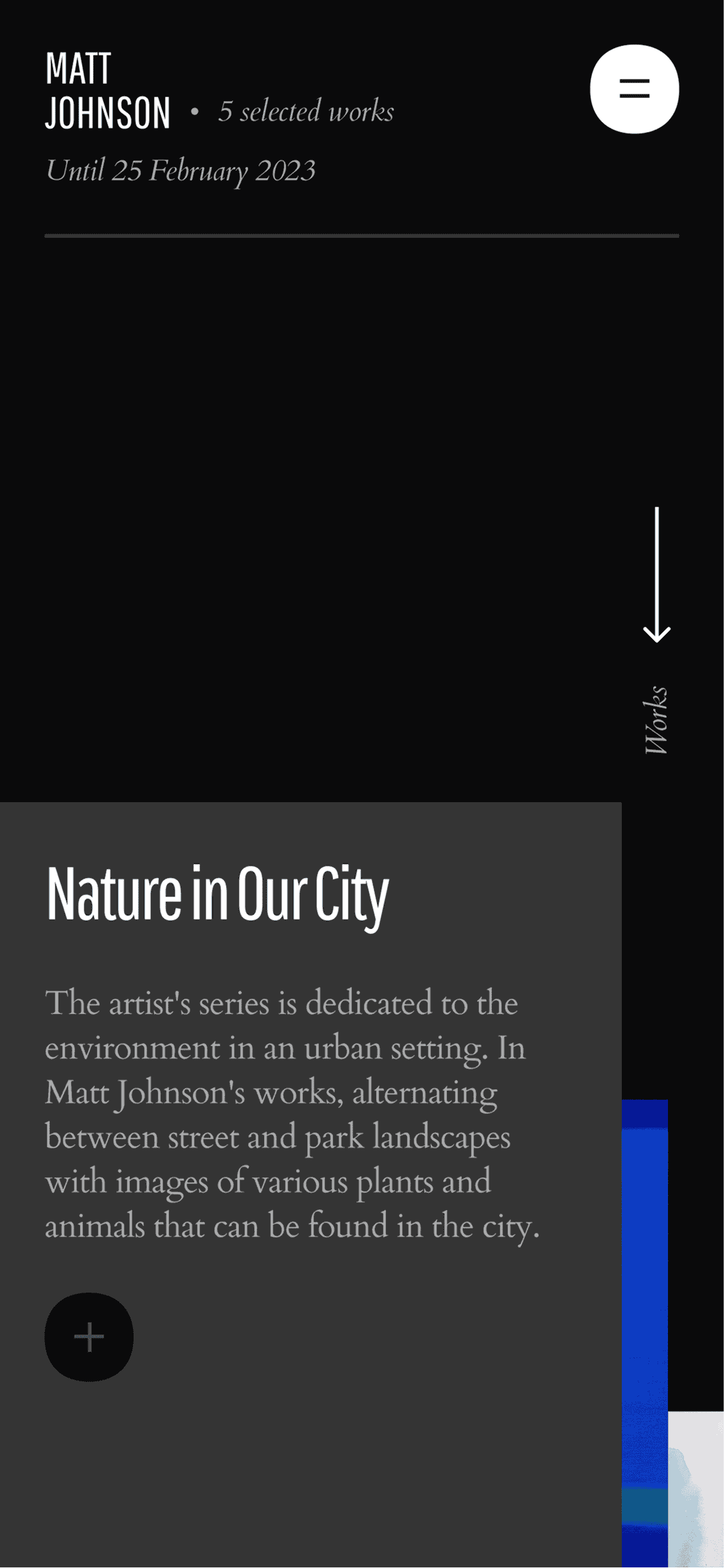 Exhibition intro screen with artwork series description