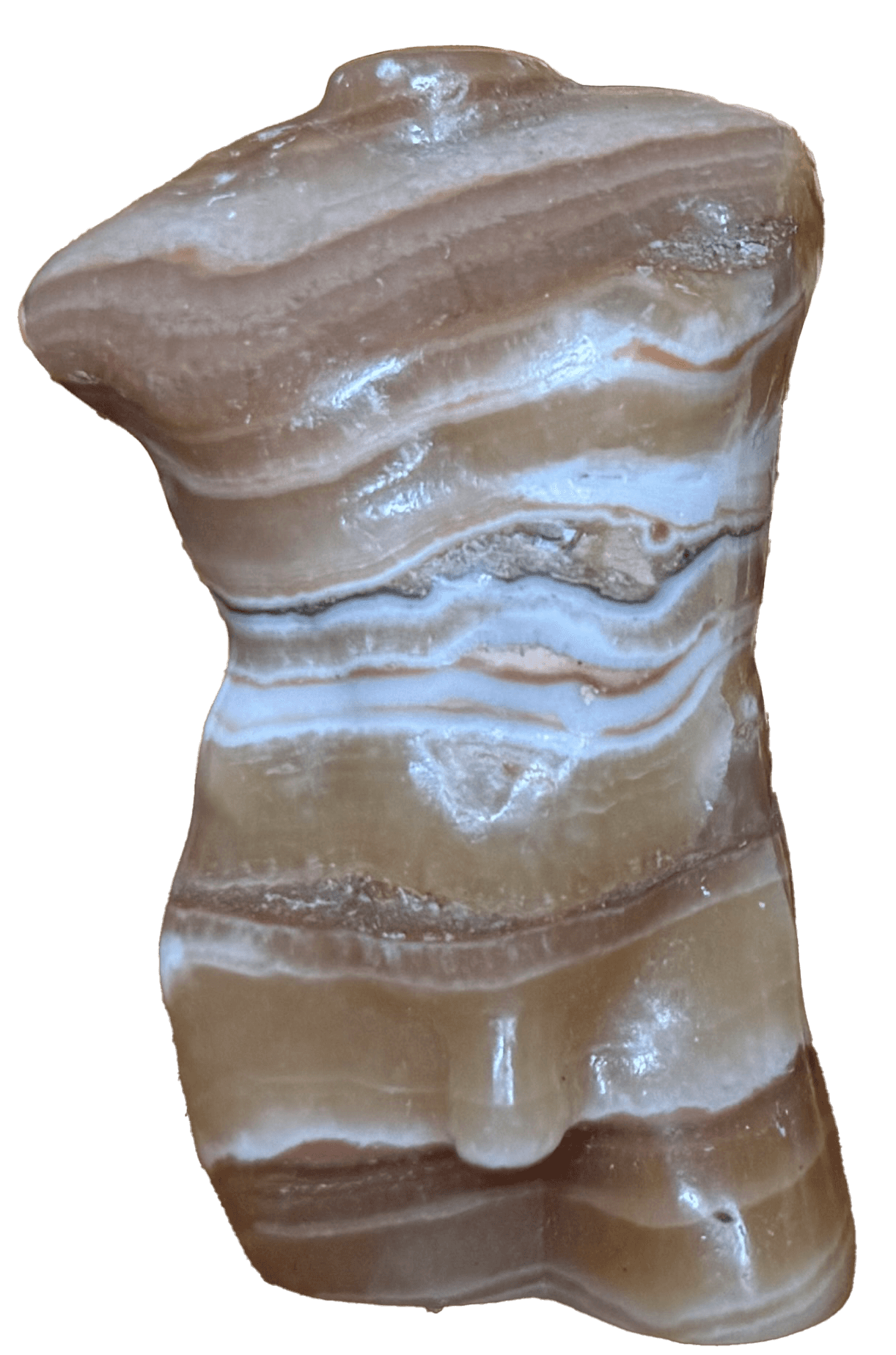 Close-up of a polished rock with brown and white banding, showing natural patterns and smooth texture.