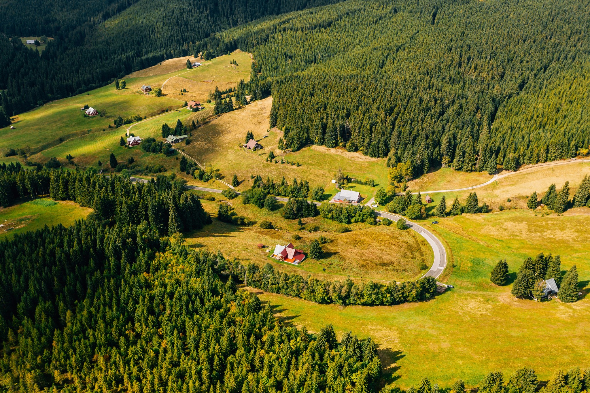 an aerial view of a road winding through a forest