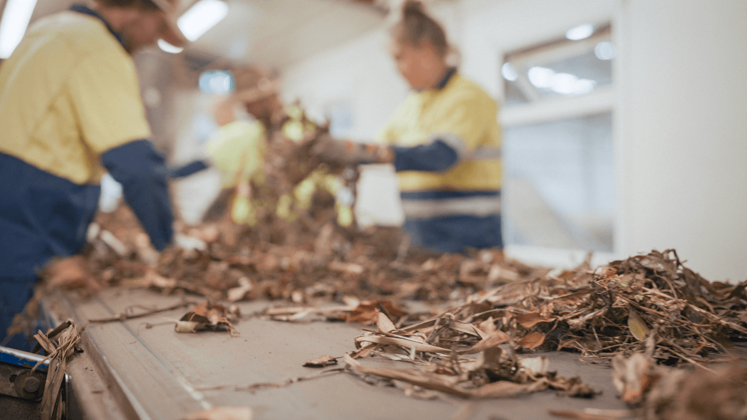 Green waste being sorted at a processing plant