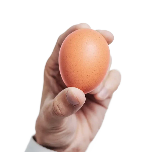A hand holding a brown egg against a light gray background, emphasizing the smooth texture and natural color of the egg.