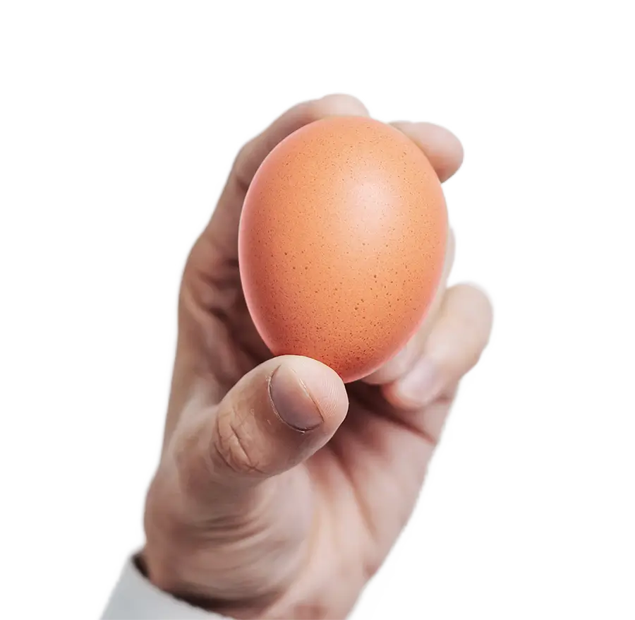 A hand holding a brown egg against a light gray background, emphasizing the smooth texture and natural color of the egg.