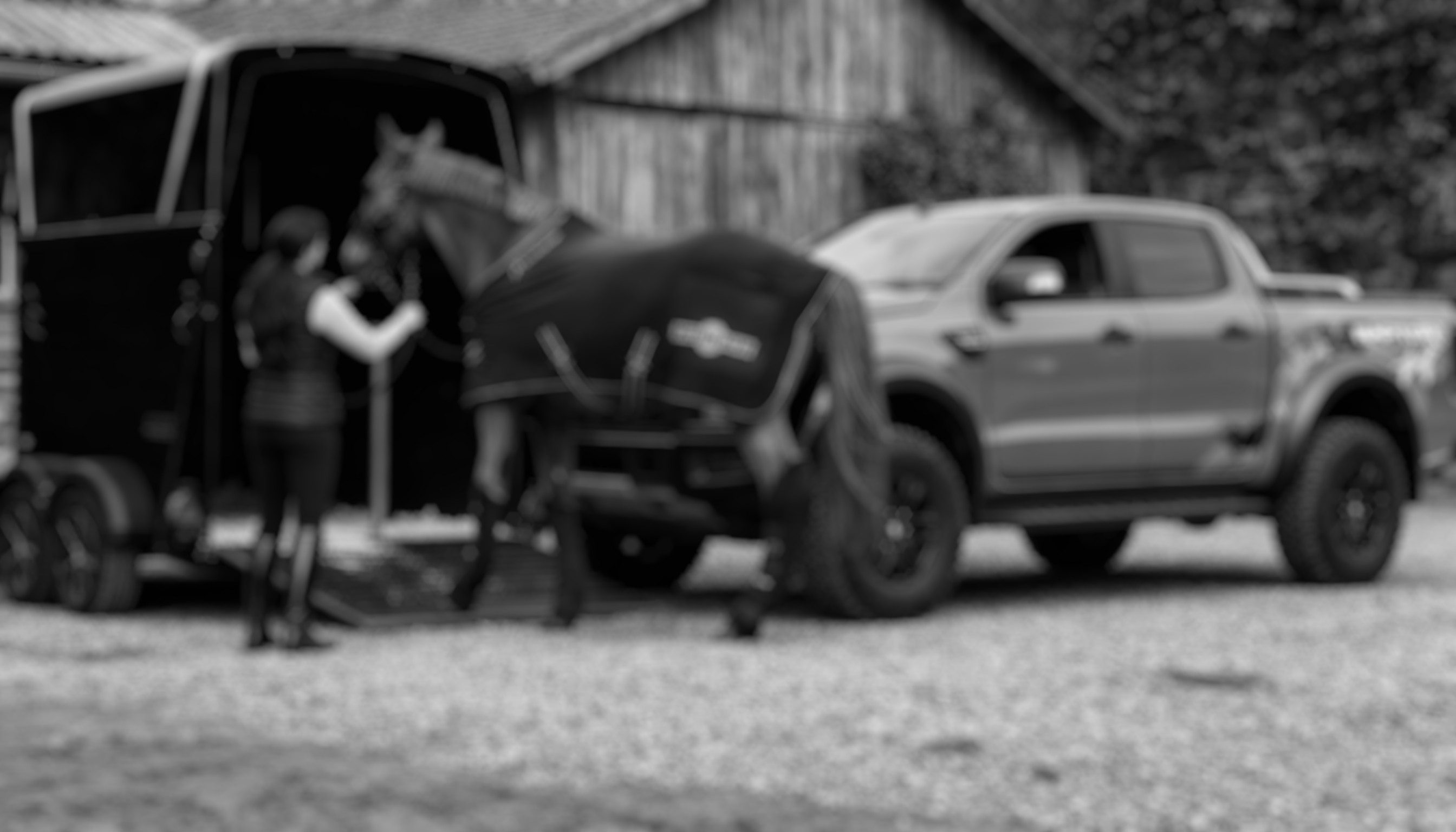 Sicherer Pferdetransport mit Erfahrung