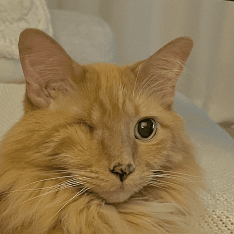 The image featured at the top of the about us page #2