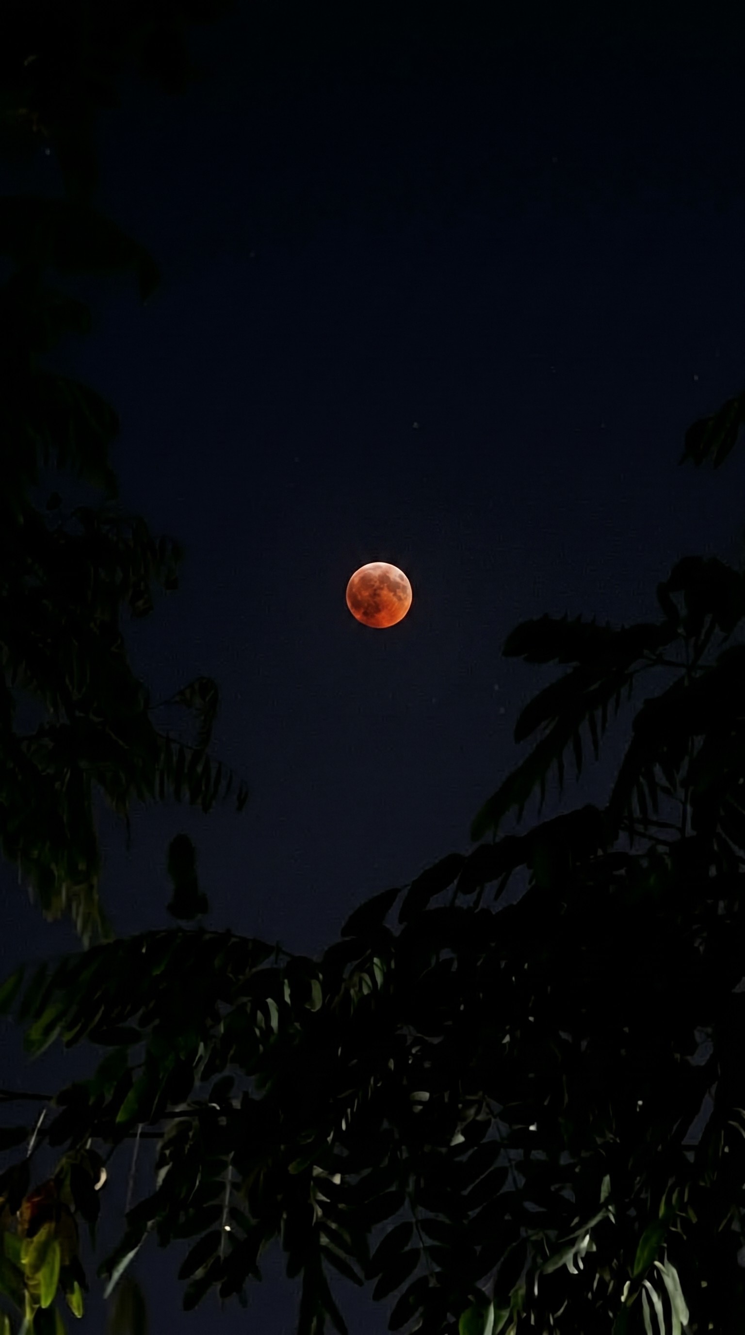 total-lunar-eclipse