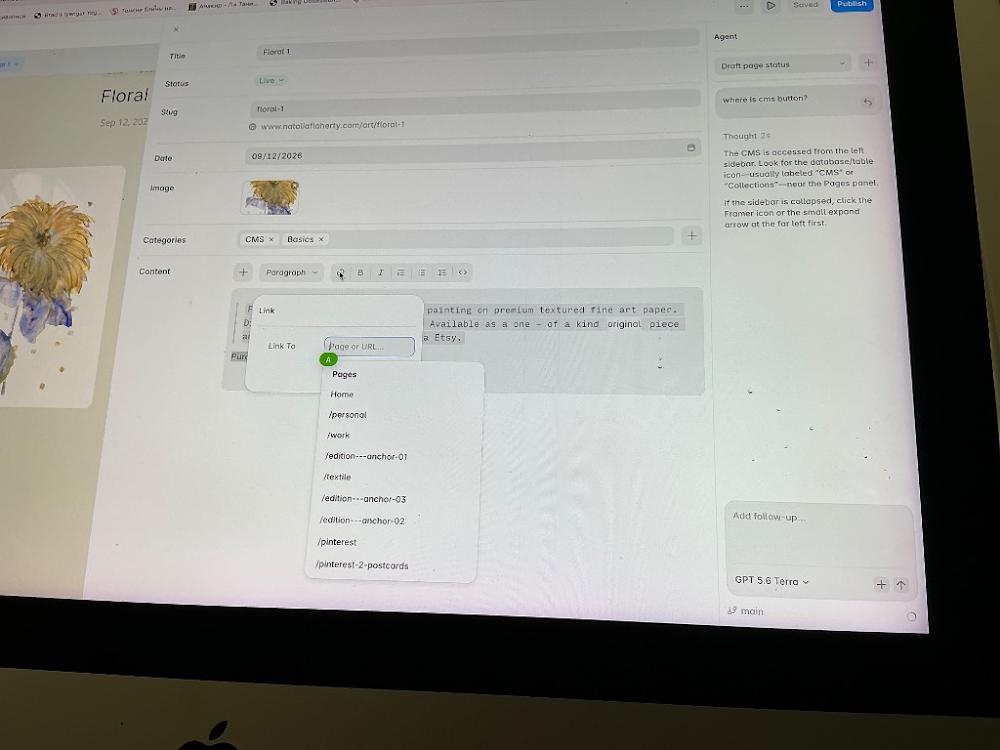 Visually searched image
