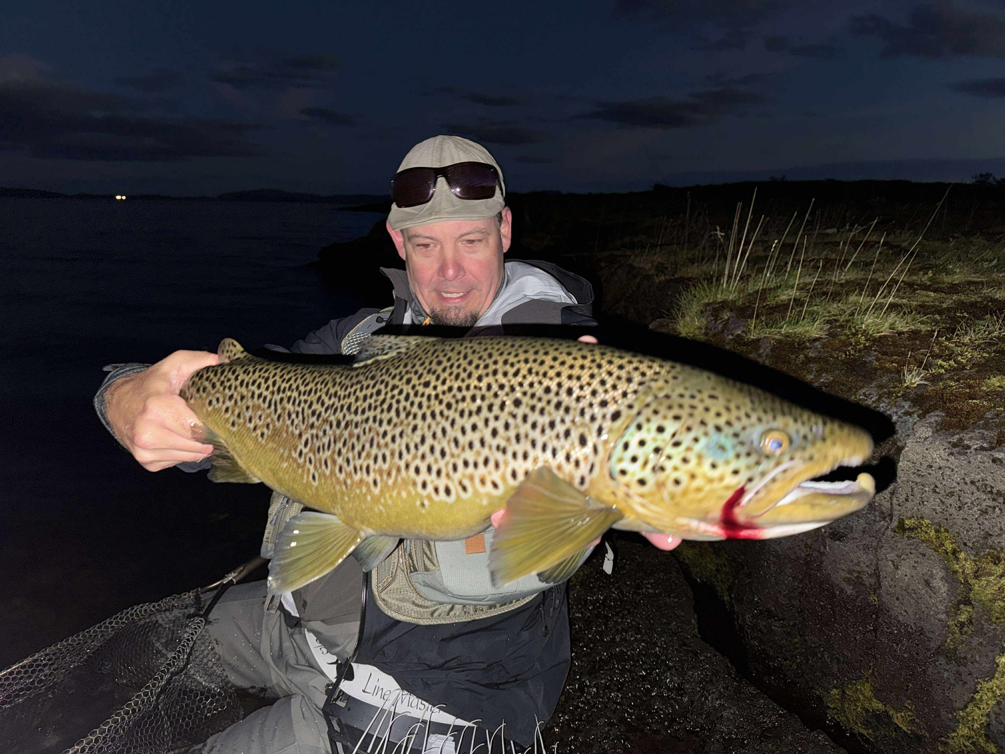 Island, Brown Trout, Arctic char, fjeldørred