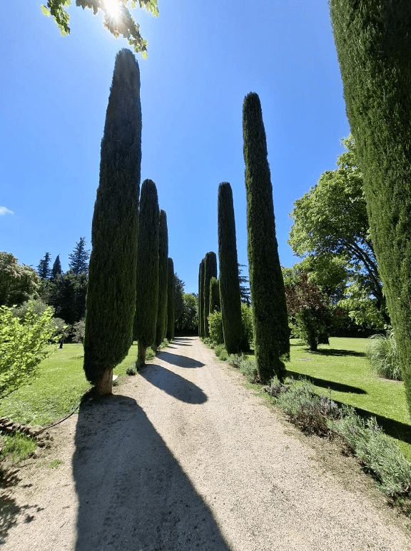 a close up of a machine tool with a blurry background