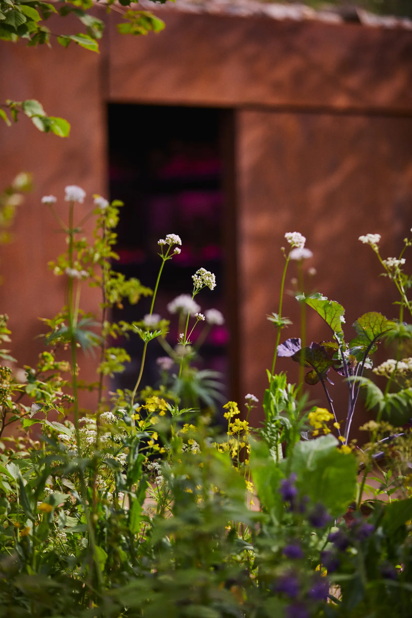 A rustic doorway surrounded by vibrant flowers and greenery, suggesting a tranquil garden setting.