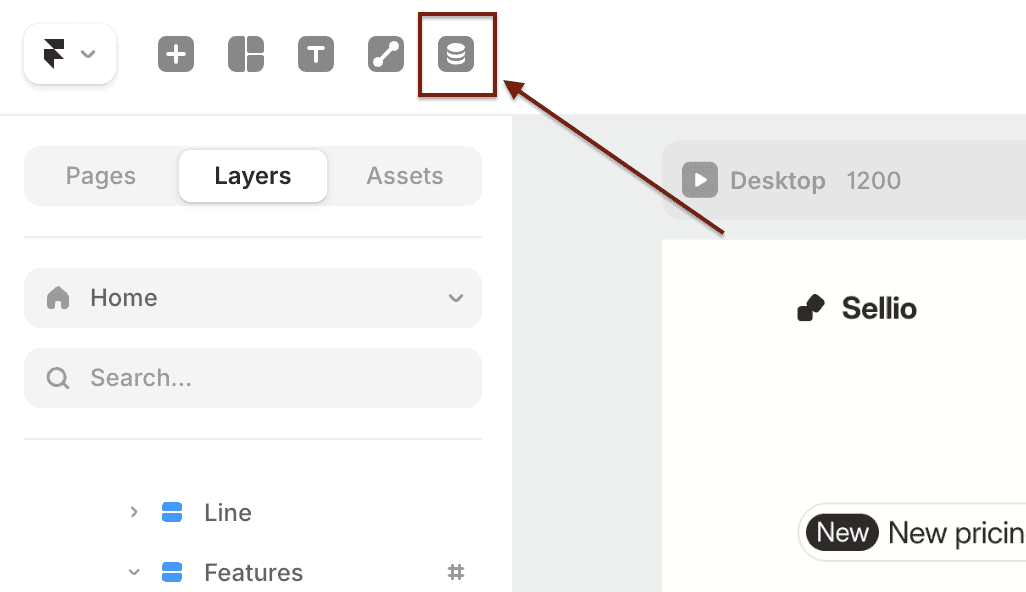 CMS Framer
