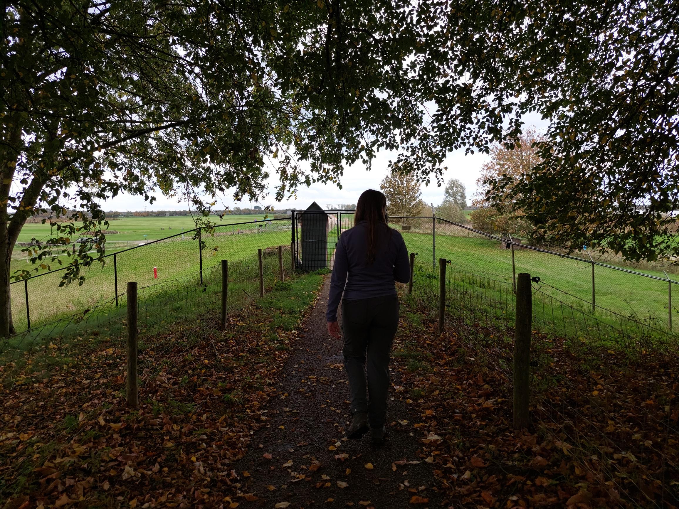 Werken bij Blom Ecologie