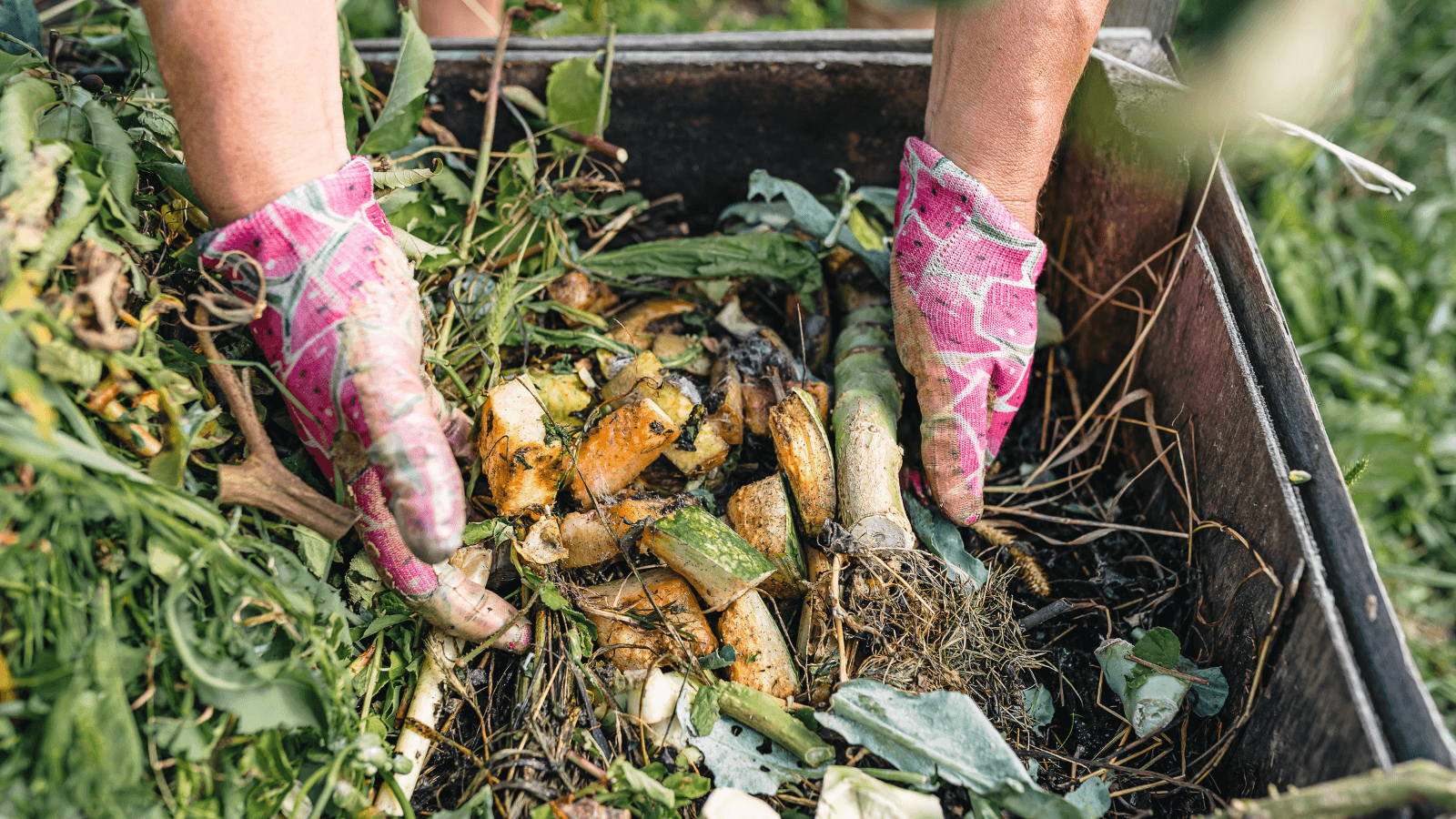 Why your business should be composting and how to do it 