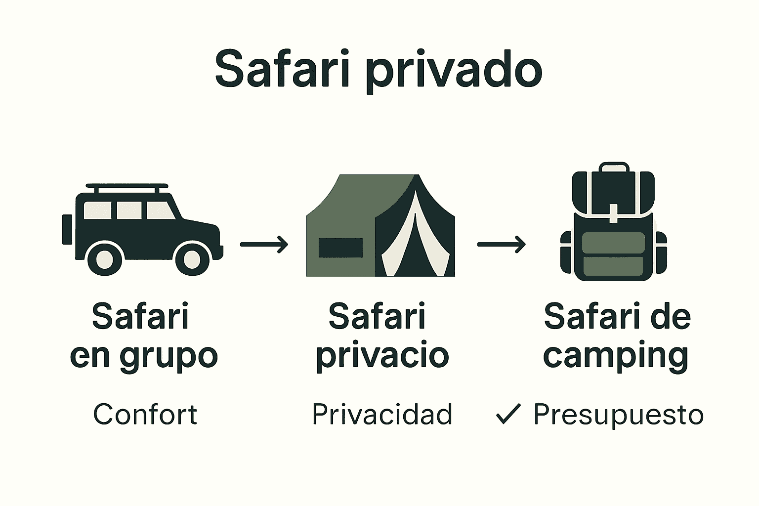 Infografía con una comparación detallada de los diferentes tipos de safaris
