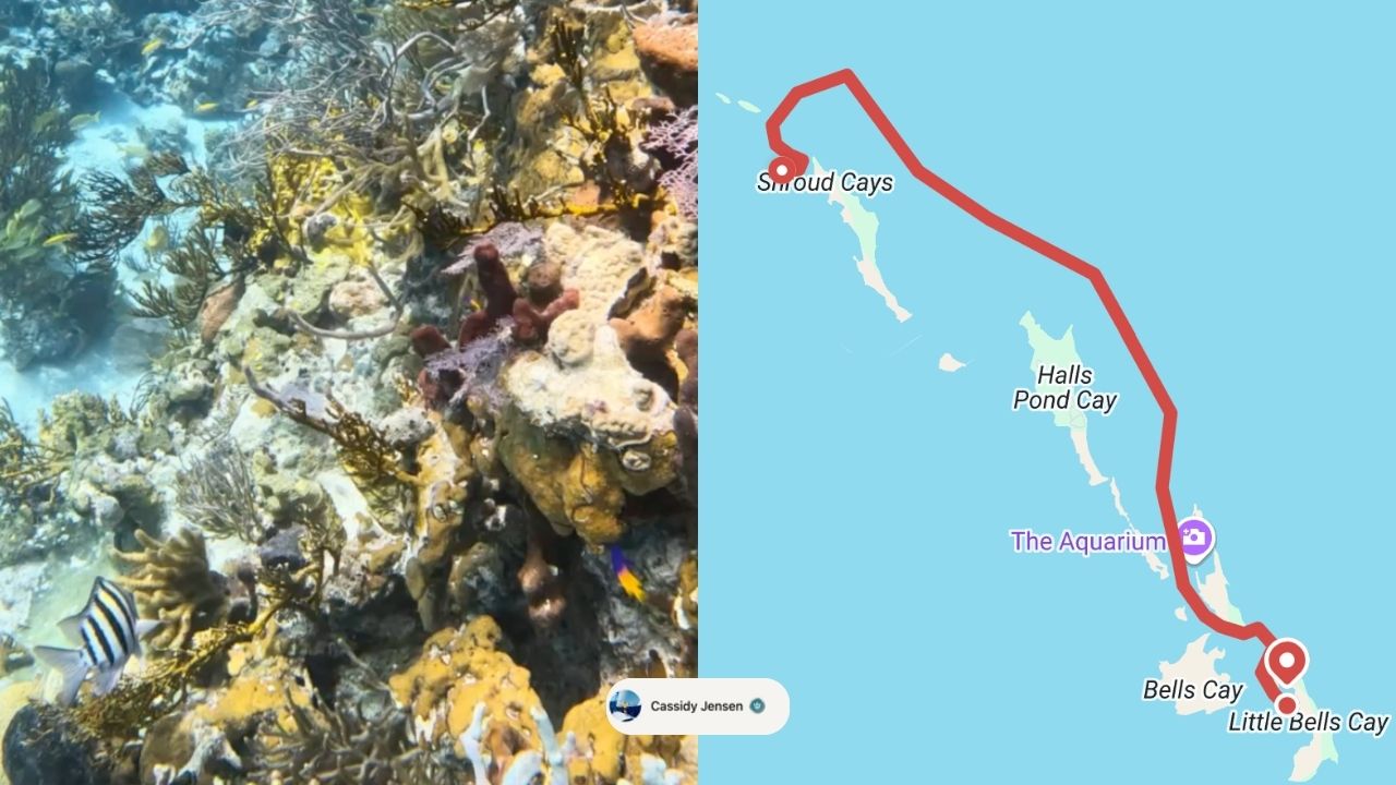  SeaPeople track line map of a sailing route from The Bahamas to Little Bells Cay