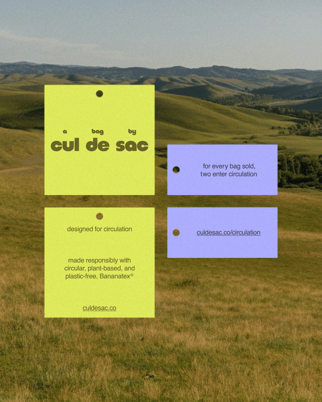 cul de sac product hang tags in chartreuse and lavender, displaying brand copy and the Circulation model details, set against a rolling hills landscape