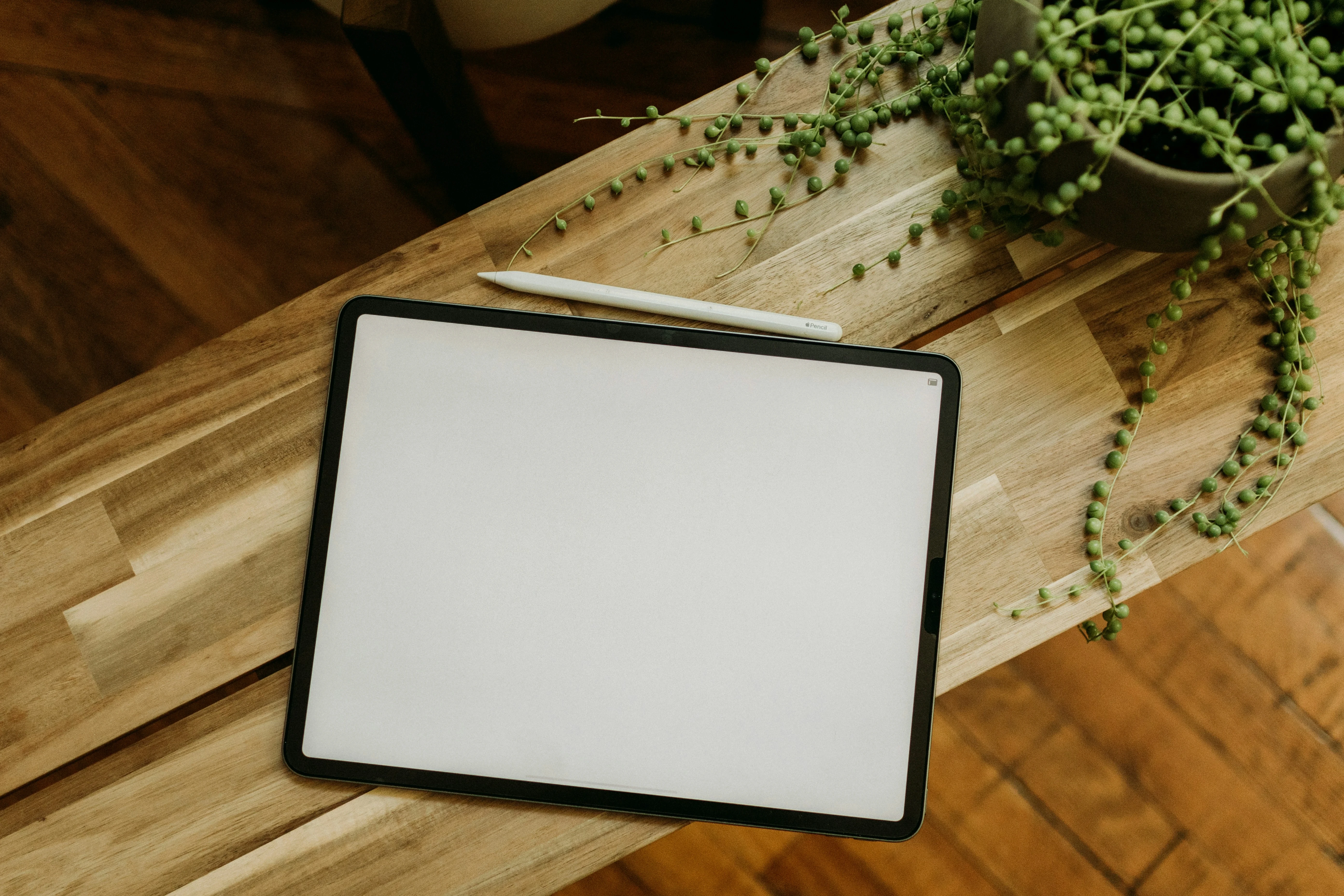 iPad with Apple Pencil on a wooden table next to a potted plant with hanging green beads.