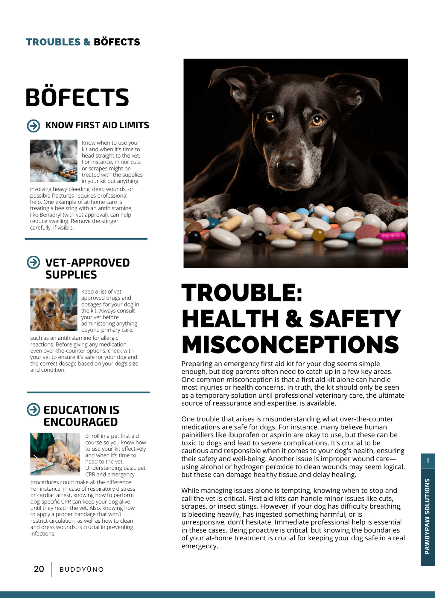 buddyuno, dog magazine, page 16