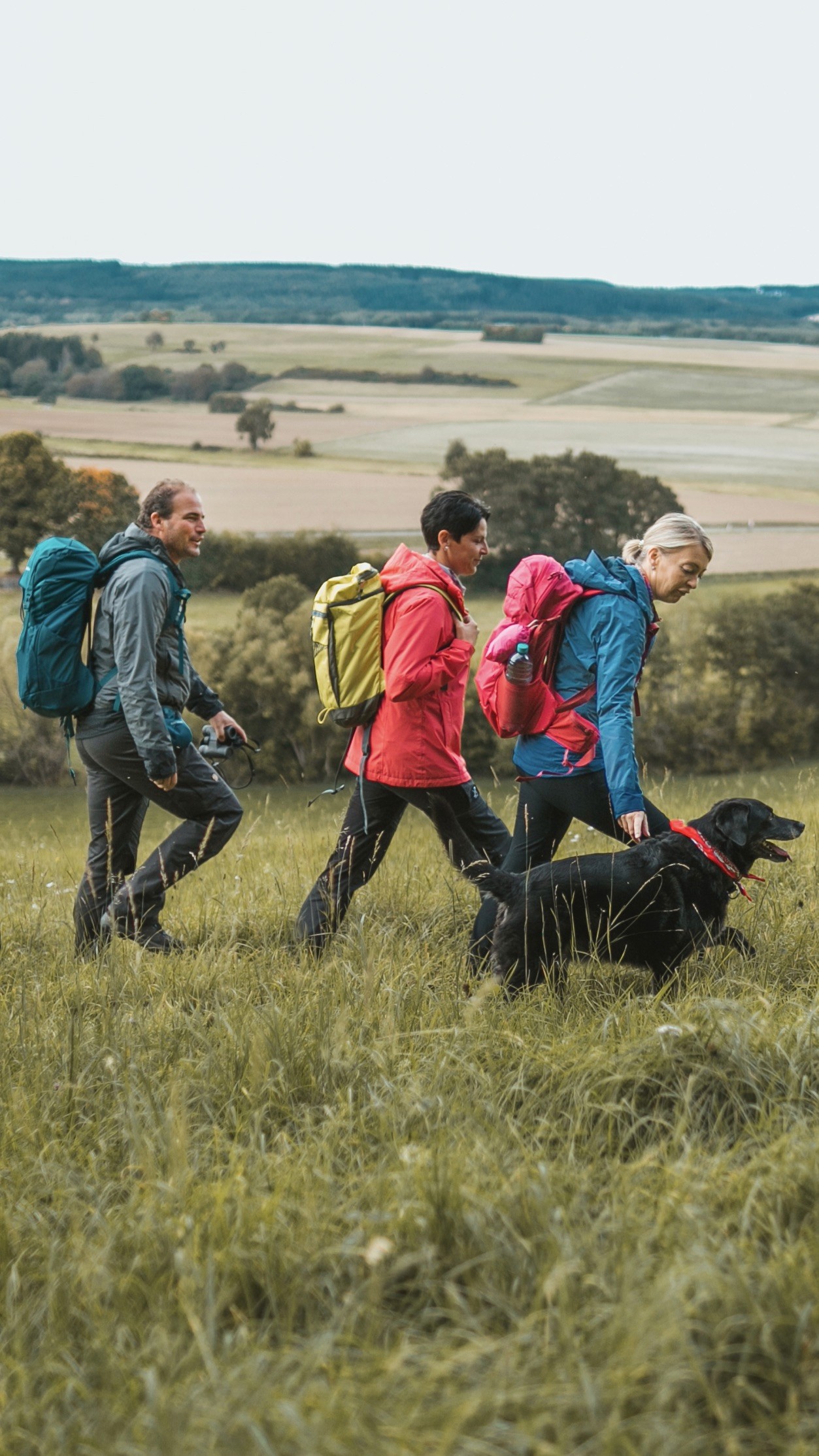 Gruppe wandert mit Hund