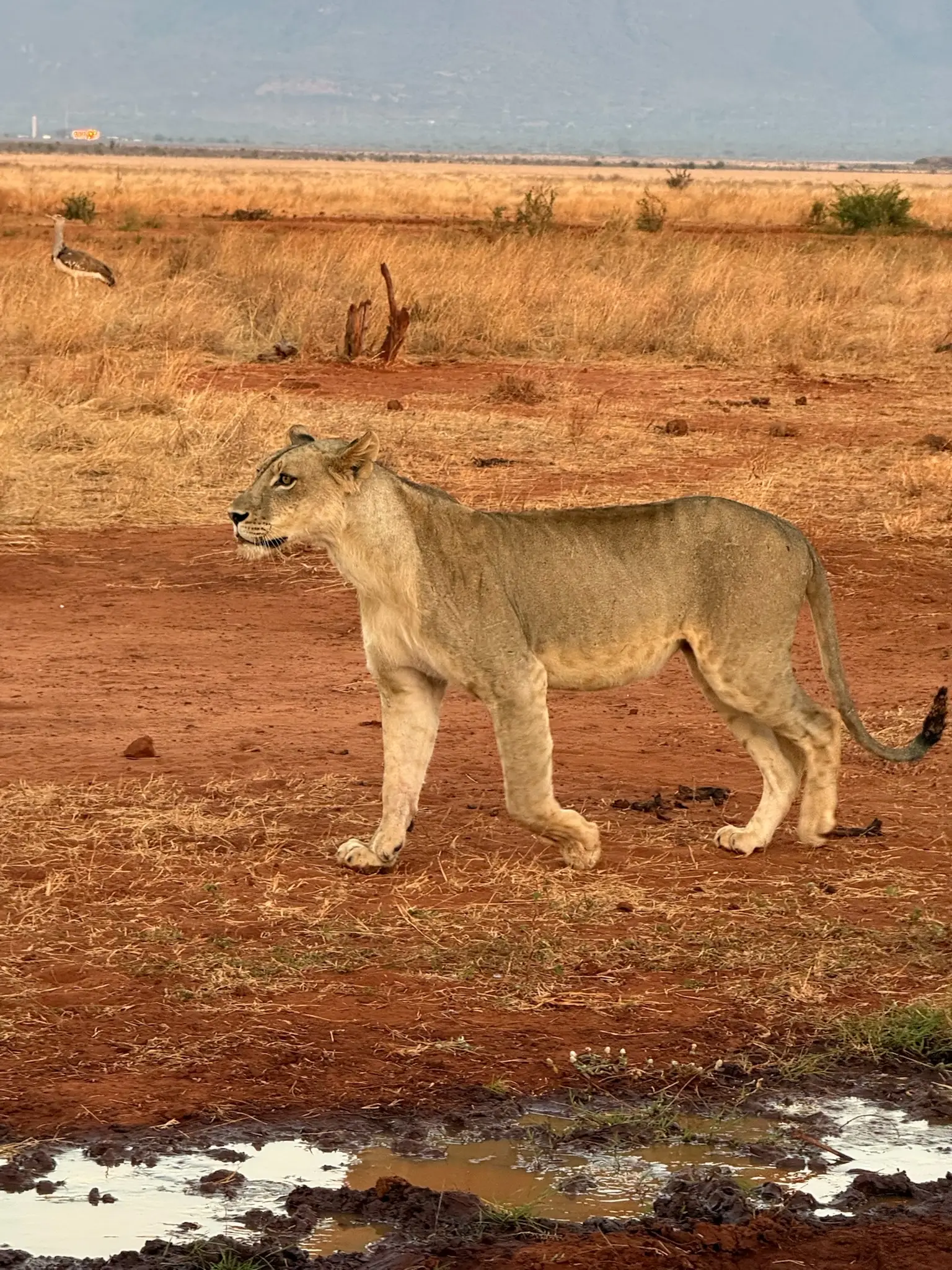 Usahili Tour in Kenya